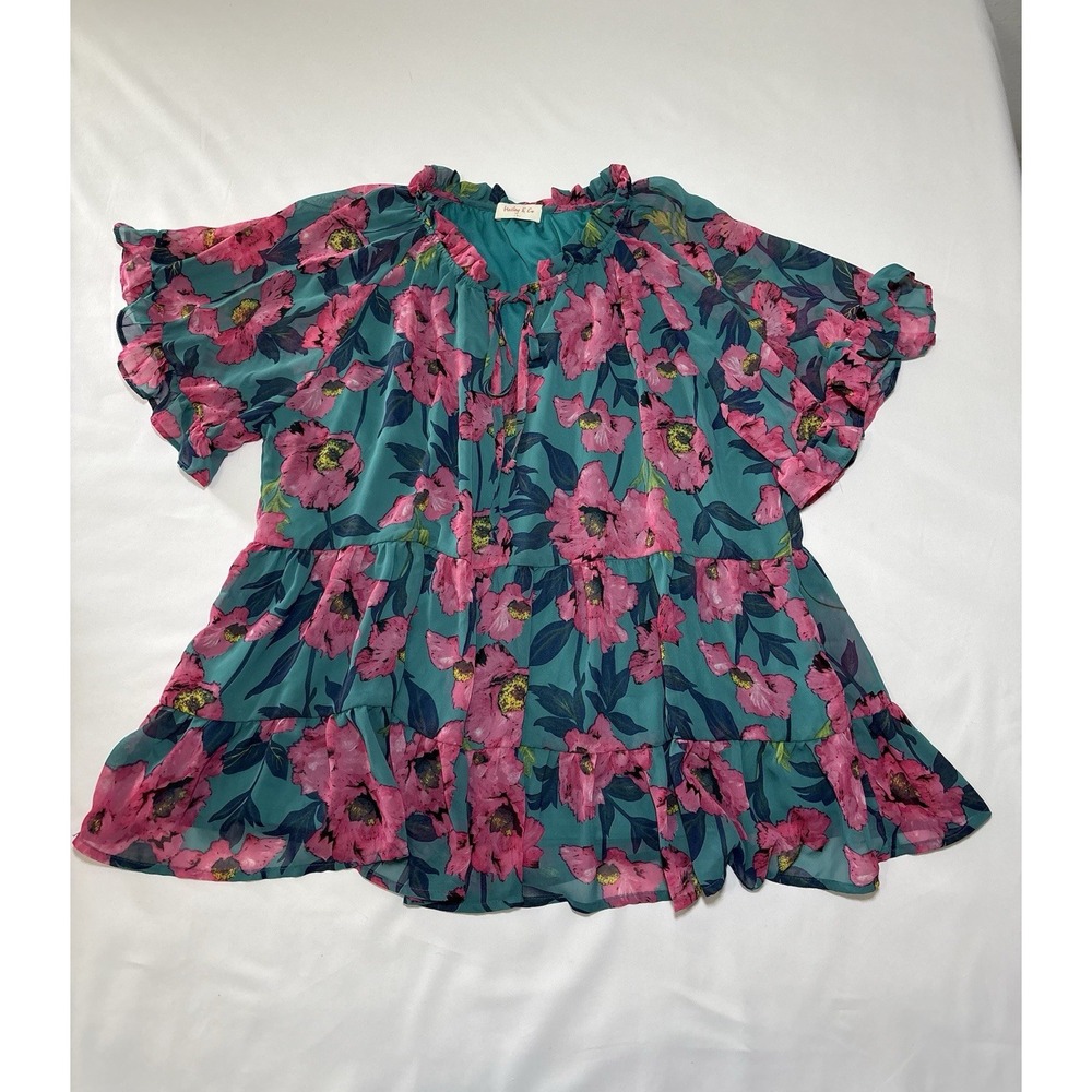 Hailey & Co Women's Floral Chiffon Peasant Blouse, V-Neck Ruffle, L, Teal/Pink